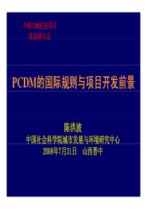 PCDM的国际规则与项目开发前景