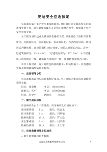 龙城 安全应急预案