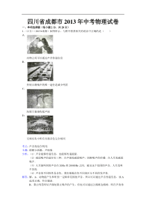 四川省成都市2013年中考物理试题