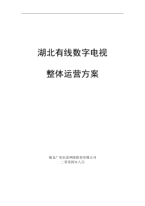 湖北有线数字电视整体运营方案