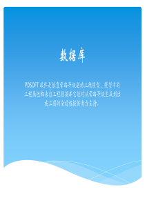 PDSOFT项目库教程