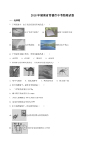 2018年湖南省常德市中考物理试题（原卷+解析）