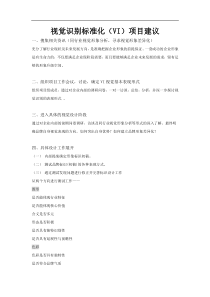 VI项目建议