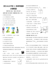 重庆市万州区2018-2019学年度（上）期末教学质量监测九年级物理试题（解析版）