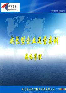 第21讲成长型企业运营实训(上)