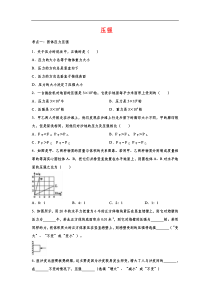 中考物理训练专题--压强
