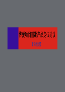 XXXX0529-博爱项目前期产品定位