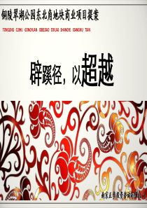 XXXX0531铜陵翠湖公园东北角地块商业项目提案