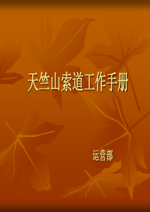 索道运营工作培训