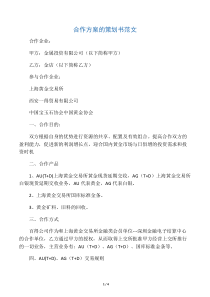 合作方案的策划书范文