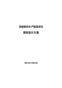 羽绒家纺生产制造项目规划设计方案