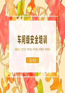 车间级安全培训课件