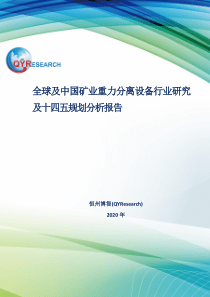 全球及中国矿业重力分离设备行业研究及十四五规划分析报告