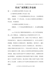 污水厂试用期工作总结doc