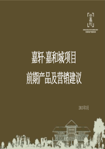 XXXX年3月洛阳嘉轩·嘉和城项目前期产品及营销建议