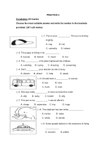 新加坡小学二年级英语试卷PRACTICE 2