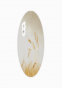 芒种二十四节气夏季通用节日PPT模板