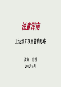 XXXX年沈阳世创正达红阳项目营销思路