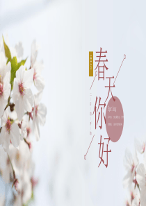 网罗天下ppt模板：春天你好樱花通用模板