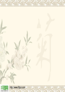 公司商务模板推荐PPT模板