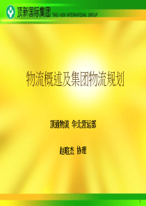 物流概述及集团物流规划(ppt 22)