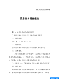 信息技术调查报告