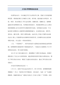 少先队学雷锋活动总结