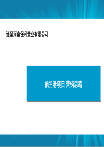 XXXX年郑州保利航空港项目营销思路81P