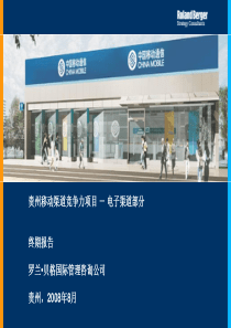 电子渠道提升举措