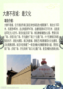 XXXX西安商业项目之最