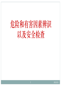 危险和有害因素辨识及安全检查