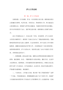 工作总结：护士工作总结