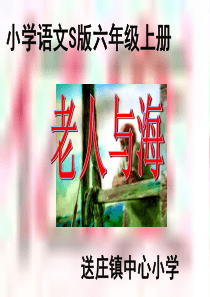 29老人与海-课件
