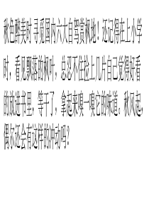 秋色醉美时-寻觅国内六大自驾赏枫地
