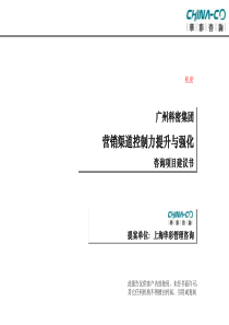 XX咨询--XX集团营销渠道控制力提升与强化咨询项目建议书（PPT 48页）