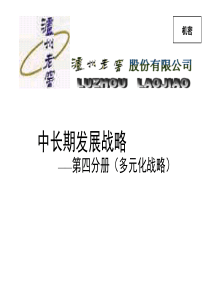 XX的泸州老窖项目报告四（PPT 117页）