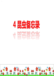 《昆虫备忘录》PPT课件(完美版)