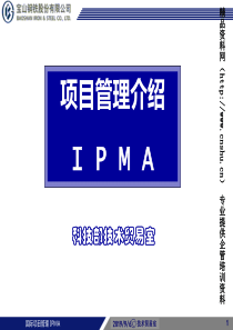 XX钢铁项目管理介绍