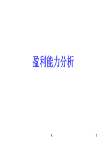 盈利能力分析