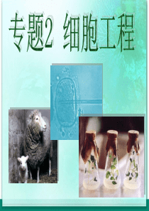 植物细胞工程的基本技术