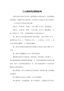 二人合伙开公司协议书