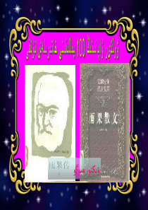 初中数学-wolter-wapati