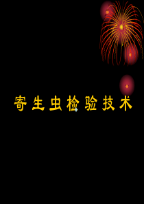 寄生虫检验2-线虫纲1-PPT课件