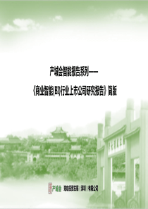 商业智能(BI)行业上市公司研究报告简版