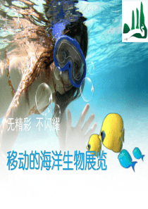 移动的海洋生物展业务介绍