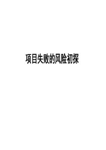 《项目失败的风险初探》（PPT 43页）