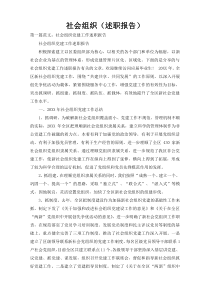 社会组织（述职报告）