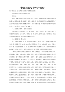 食品药品安全生产总结