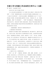 支部工作与党建工作总结范文有什么（九篇）