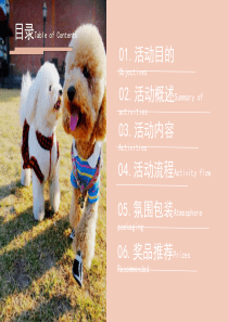 南昌英格兰堡疯狂动物城暖场活动方案-正九传媒